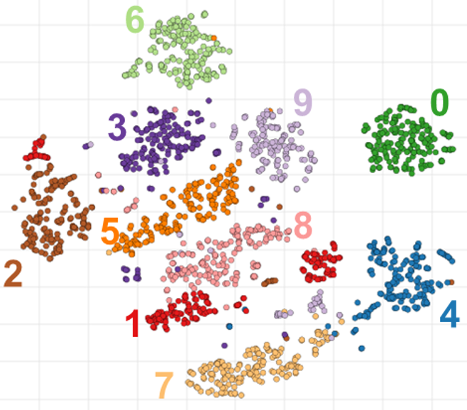 tSNE clusters